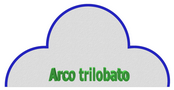 Centina in polistirolo per la realizzazione di  arco trilobato - 3b